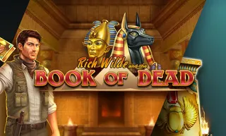 Book of Dead slot